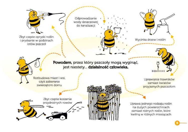 Książka Misja Pszczoła przykładowa strona