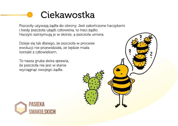 Książka Misja Pszczoła przykładowa strona