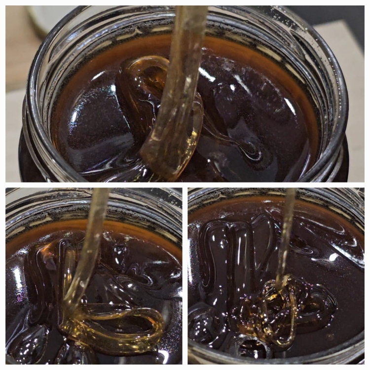 Miód Spadziowy Iglasty po otwarciu, płynny