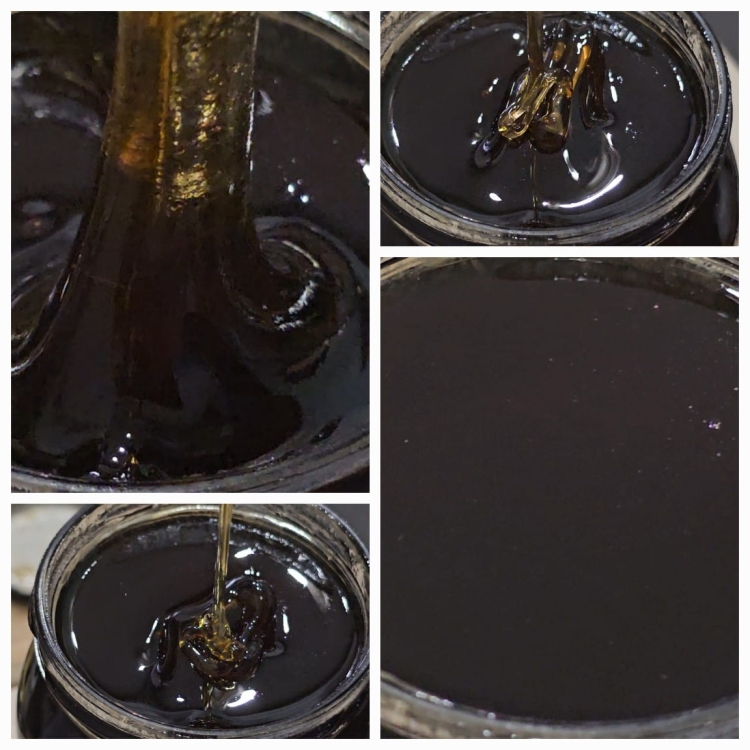 Miód Spadziowy Iglasty z Roztocza 1250g rocznik 2024 wnętrze (kiedy jest płynny)