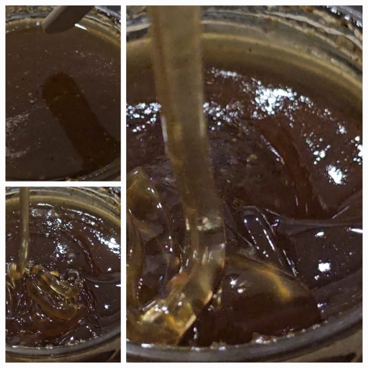 Miód Spadziowy Iglasty spod Zwierzyńca - wnętrze (kiedy jest płynny)