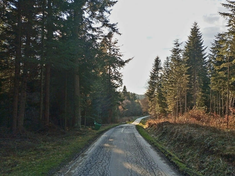 Okolice pasieki Piotra Grundasa