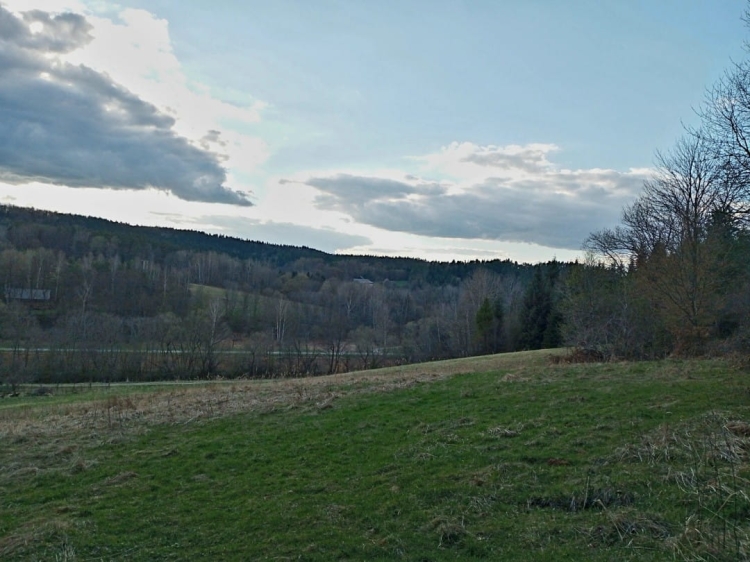 Okolice pasieki Piotra Grundasa