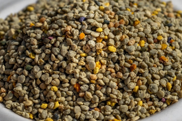 Pyłek pszczeli bobikowy