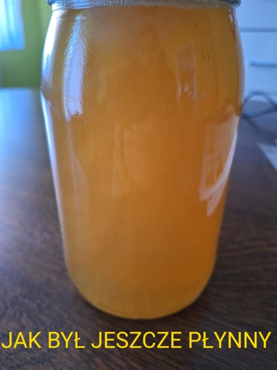 Miód Wierzbowy płynny