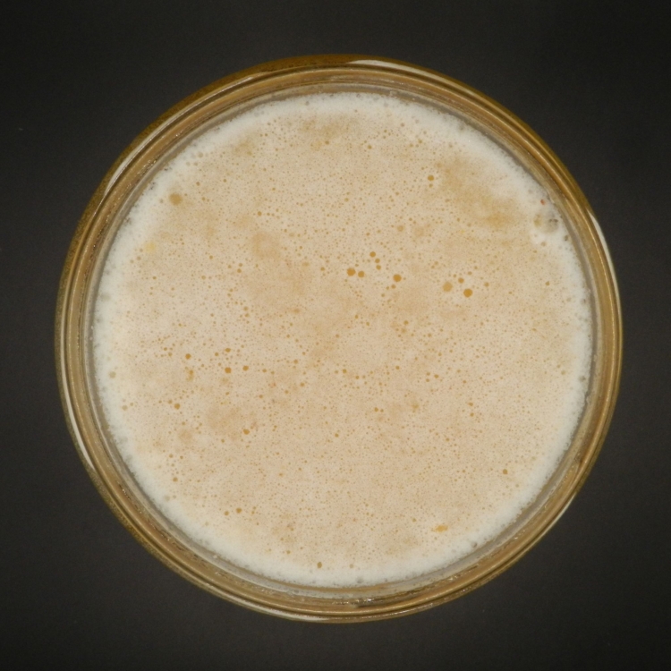 Miód Wielokwiatowy Wiosenny 2025 z Wyżyny Lubelskiej