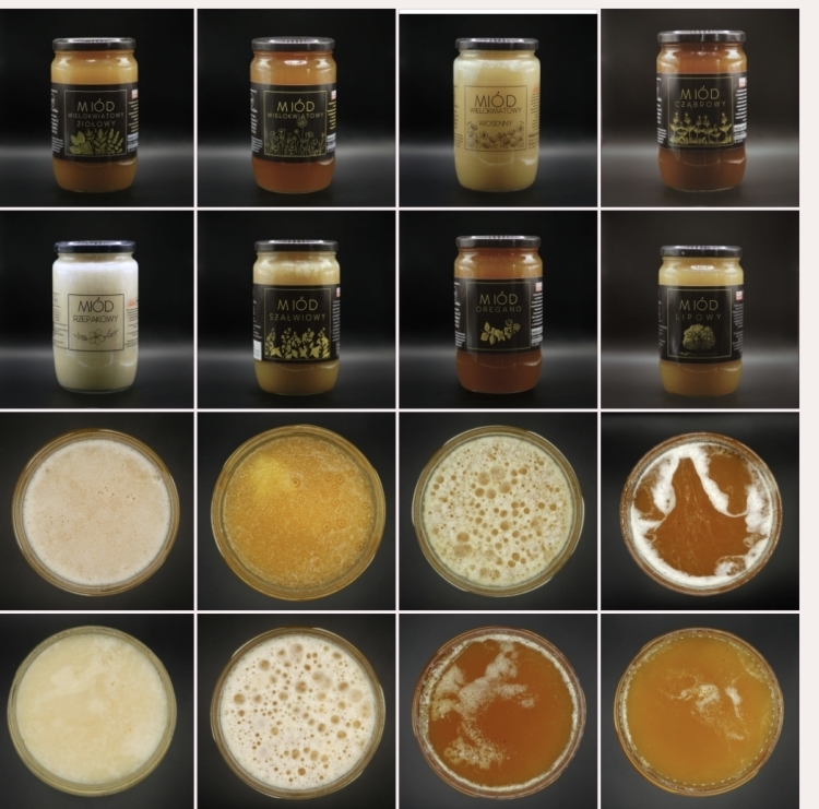 Paleta miodów pasieki Siedlisko