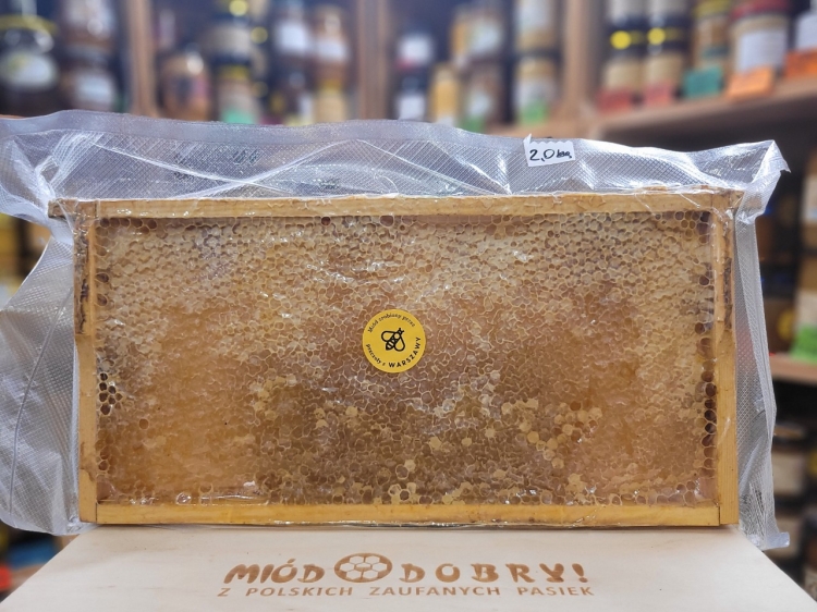 Plaster miodu Warszawskiego