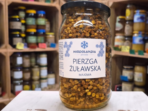 Pieżga żuławska majowa 500g