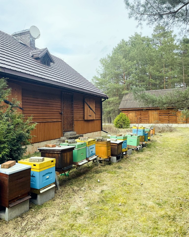 Pasieka BeeZee Kurpie woj. PODLASKIE