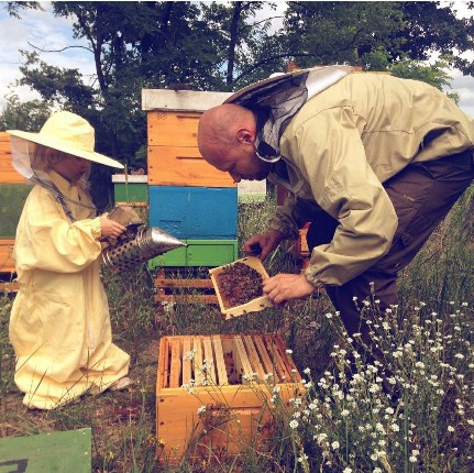 Miód wierzbowy z pszczelarium pochodzi z tej pasieki w Wildze