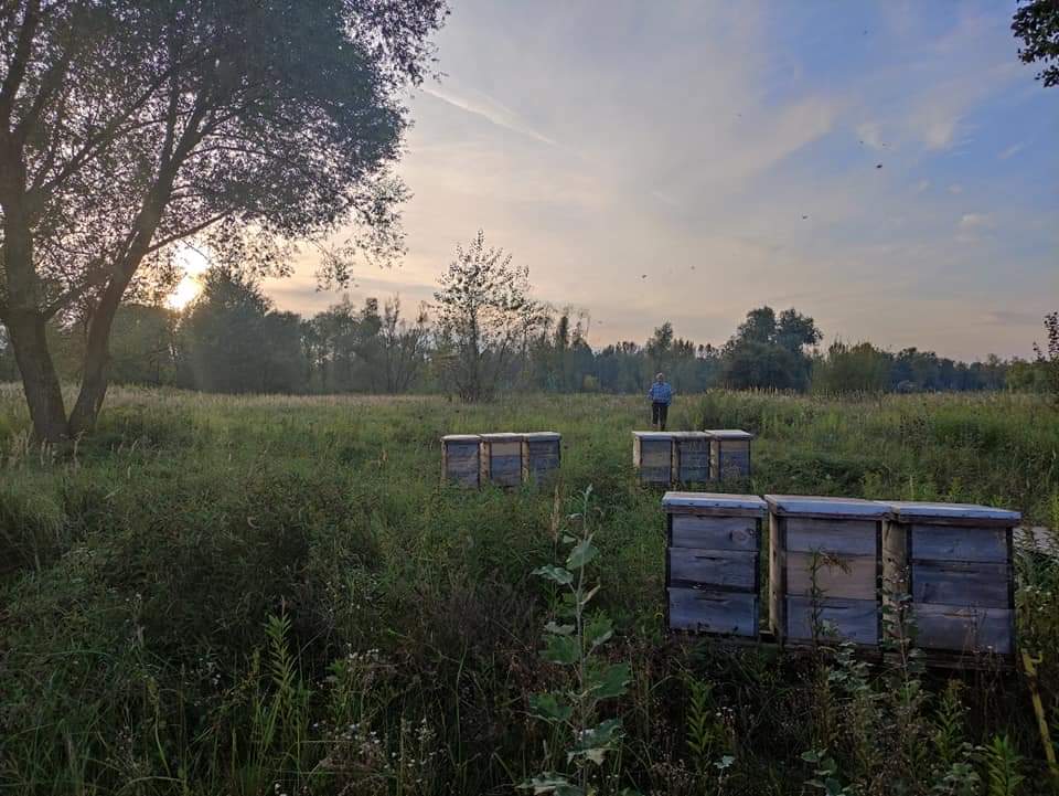 Pasieka Wilka Jakuba