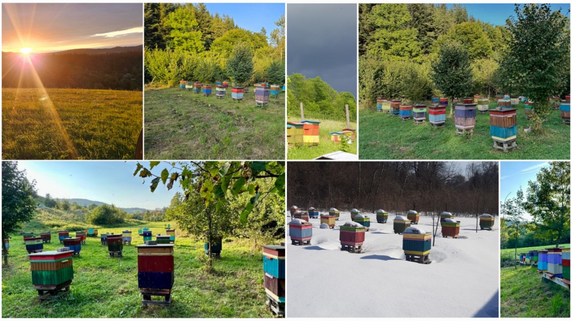 Pasieka Bilanycz Bieszczady