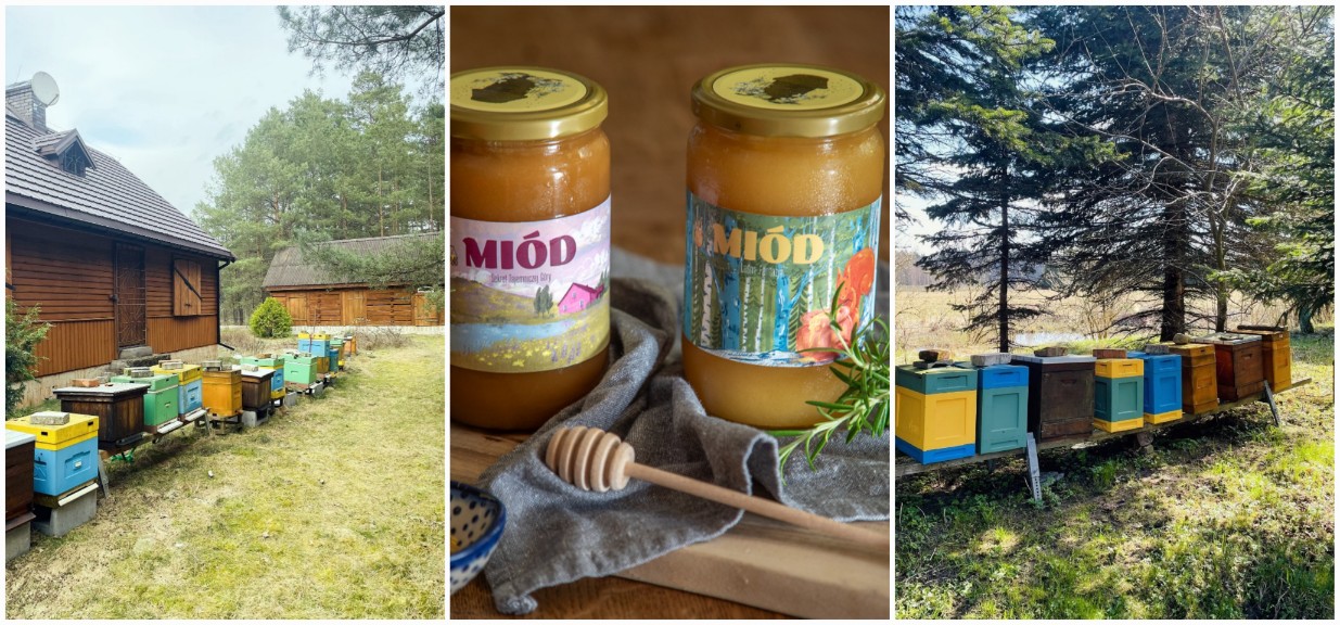 Pasieka BeeZee